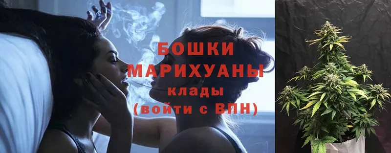 дарнет шоп  Куровское  Шишки марихуана Amnesia 